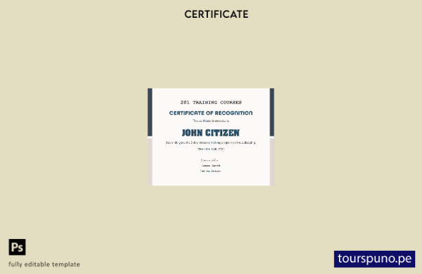 Plantilla de certificado del curso de capacitación de EE. UU. lista para imprimi